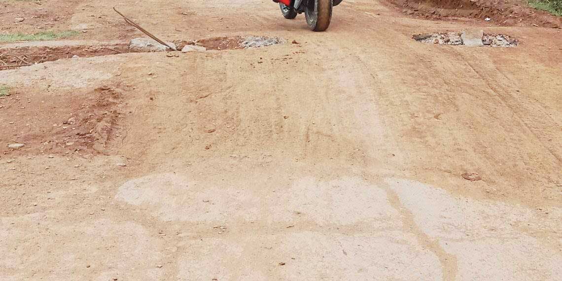 टूटी पुलिया से झांक रहा सरिया, हादसे की आशंका