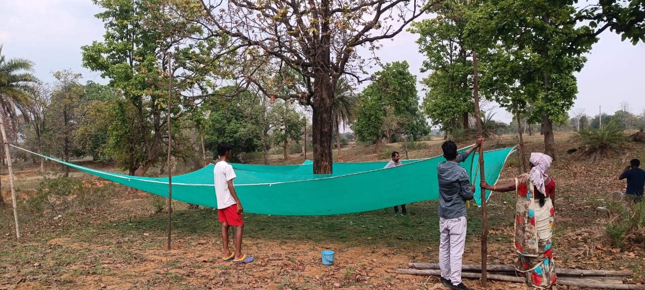 अब झारखंड के सिमडेगा में घुलेगी महुआ की मिठास