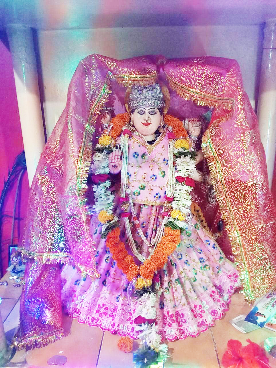 नवरात्रि धूमधाम से मनी