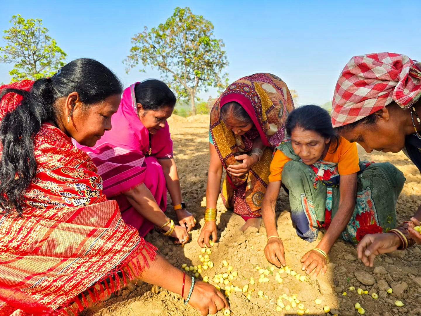 स्वीप के तहत स्वच्छता दीदियों ने बनाई रंगोली, थाली भी सजाई स्वीप के तहत स्वच्छता दीदियों ने बनाई रंगोली, थाली भी सजाई