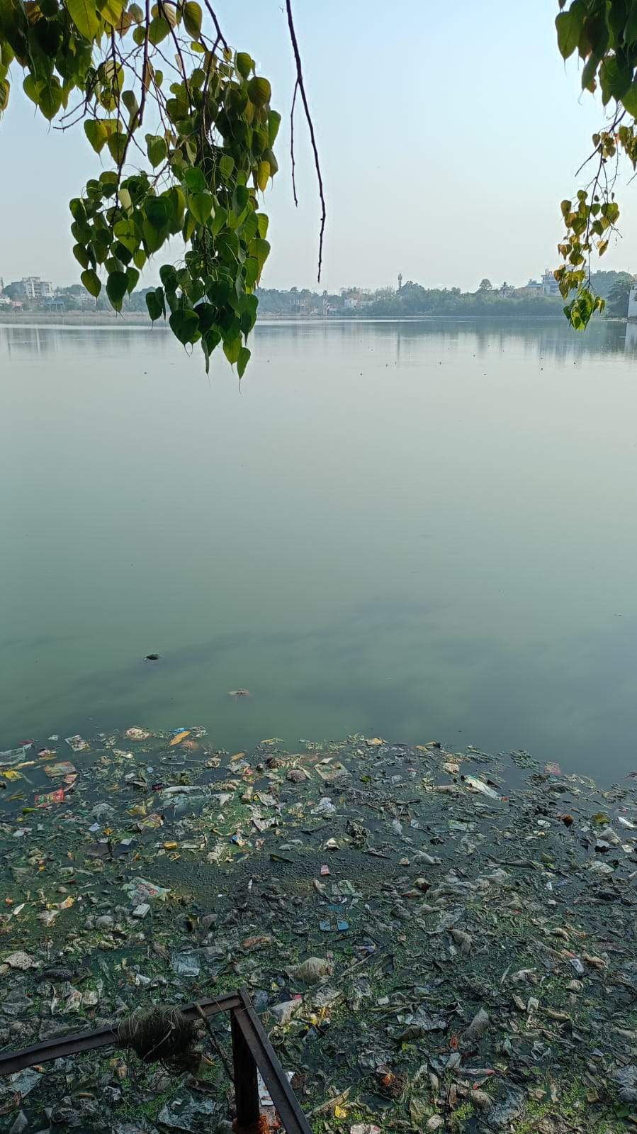 महराजबंध तालाब से 10 डंपर जलकुंभी निकाला गया महराजबंध तालाब से 10 डंपर जलकुंभी निकाला गया