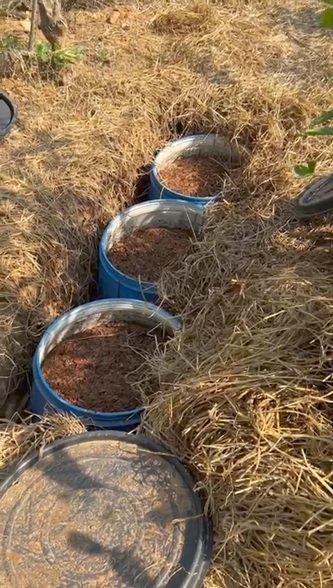 2.38 लाख का शराब व लाहन जब्त