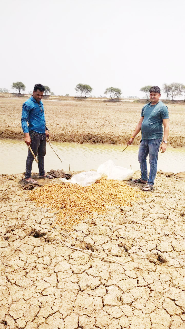 दो जगह दबिश, महुआ पास बरामद