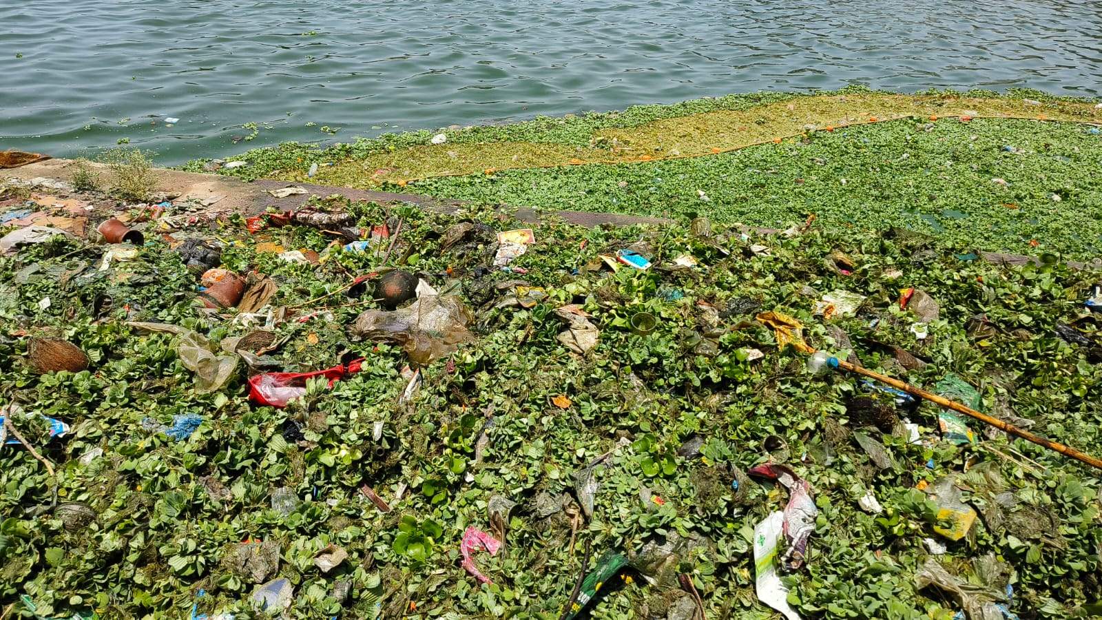 बूढ़ासागर की दुर्गंध बनी आफत, सरोवर में फैली गंदगी से संक्रमण का खतरा बूढ़ासागर की दुर्गंध बनी आफत, सरोवर में फैली गंदगी से संक्रमण का खतरा