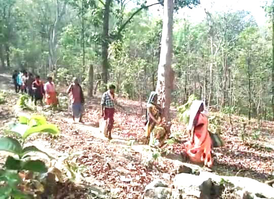 कोई घोड़े पर सवार होकर, तो कोई पहाड़ी रास्तों पर चलकर, तो कोई नदी पार कर पहुंचा मतदान करने