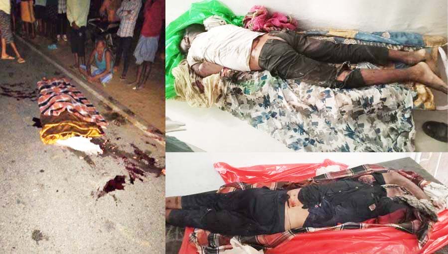 सडक़ किनारे खड़े लोगों को ट्रक ने कुचला, 2 की मौत, एक गंभीर 