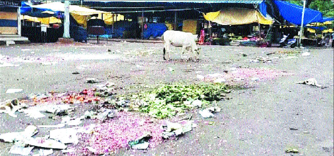 साप्ताहिक बाजार में फैल रहा कचरा, मवेशी खा रहे सड़ी सब्जियां व पॉलीथिन