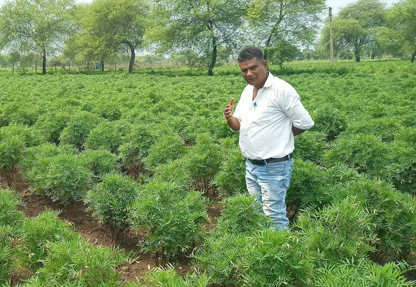 फूलों की खेती से लाखों कमा रहे खोपली के दो भाई