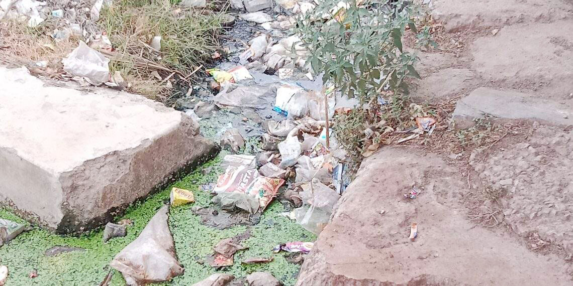 सफाई नहीं, नालियां जाम, जगह-जगह कचरे का ढेर