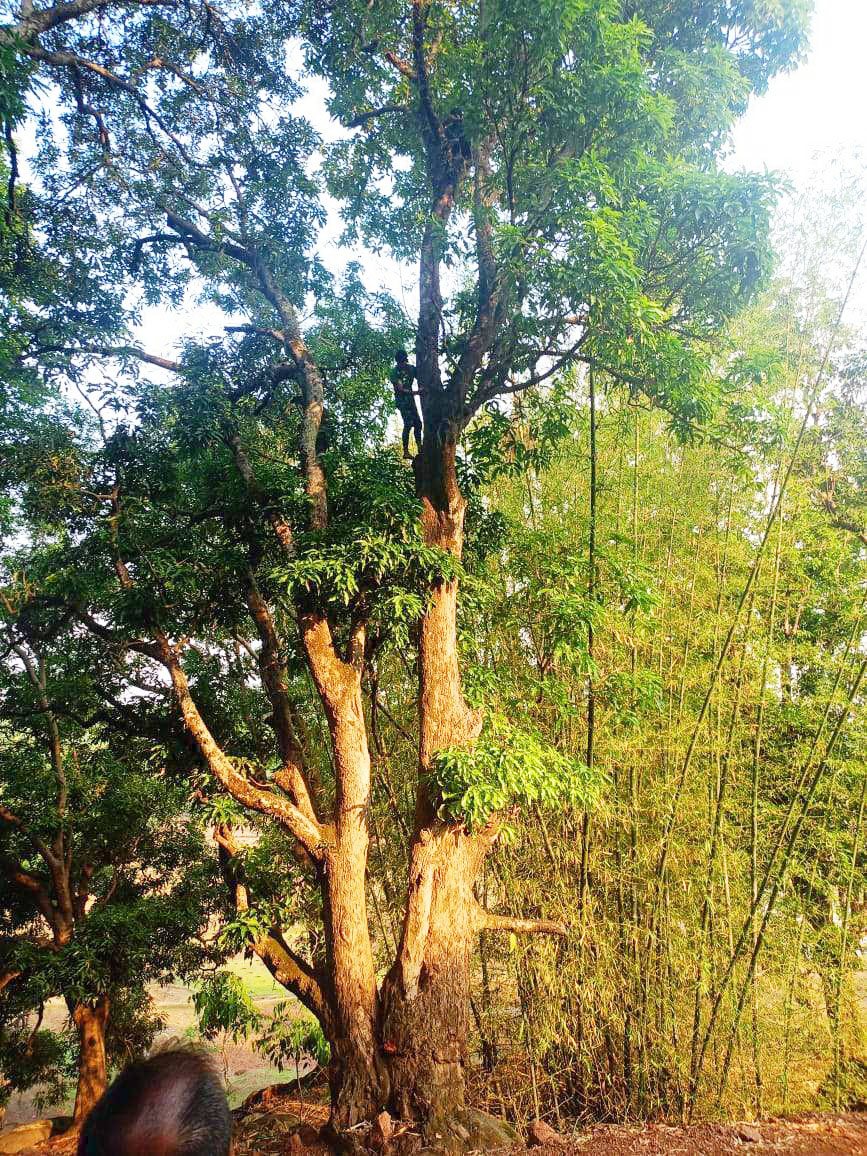 खुदकुशी की कोशिश पुलिस ने बचाई जान