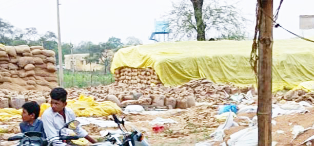 पांच माह बाद भी केन्द्रों से 19 हजार क्विंटल धान का उठाव नहीं