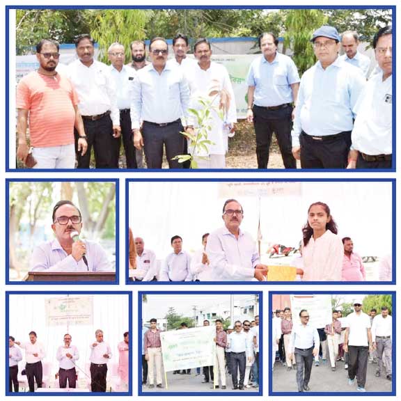 एसईसीएल भटगांव क्षेत्र में विश्व पर्यावरण दिवस पर विविध कार्यक्रम