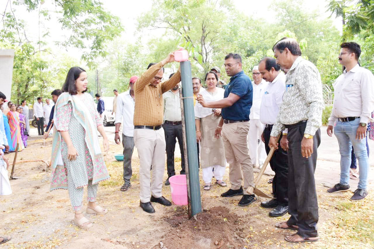 कलेक्टोरेट परिसर में कलेक्टर ने किया पौधरोपण कलेक्टोरेट परिसर में कलेक्टर ने किया पौधरोपण
