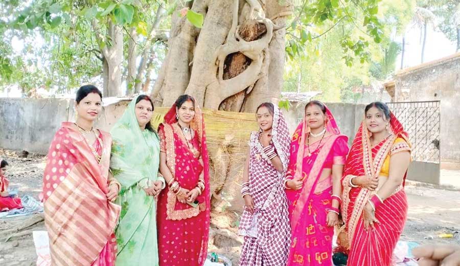 वट सावित्री का पर्व धूमधाम से मना वट सावित्री का पर्व धूमधाम से मना