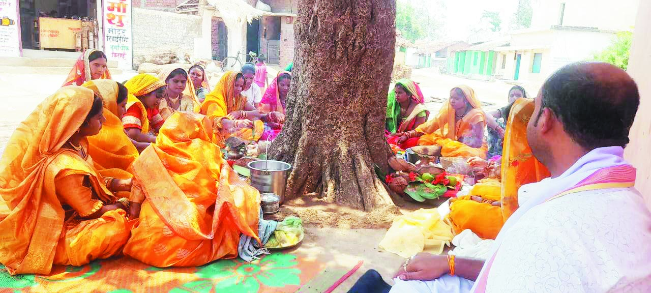 सुहागिनों ने की वट सावित्री की पूजा सुहागिनों ने की वट सावित्री की पूजा