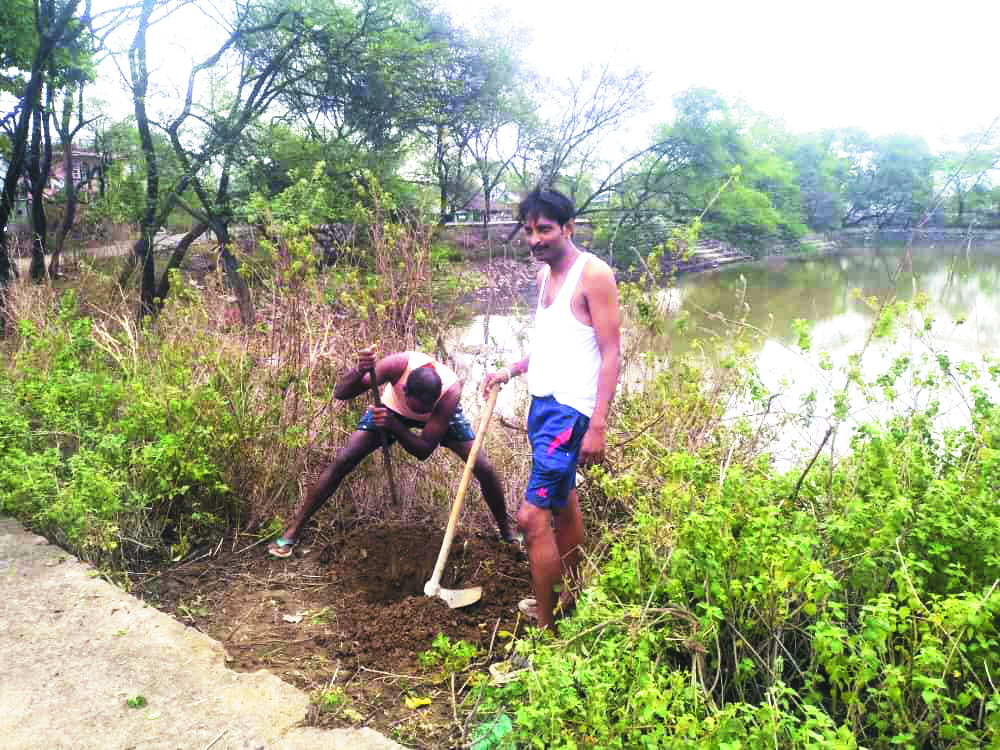 तालाब किनारे सामूहिक पौधारोपण