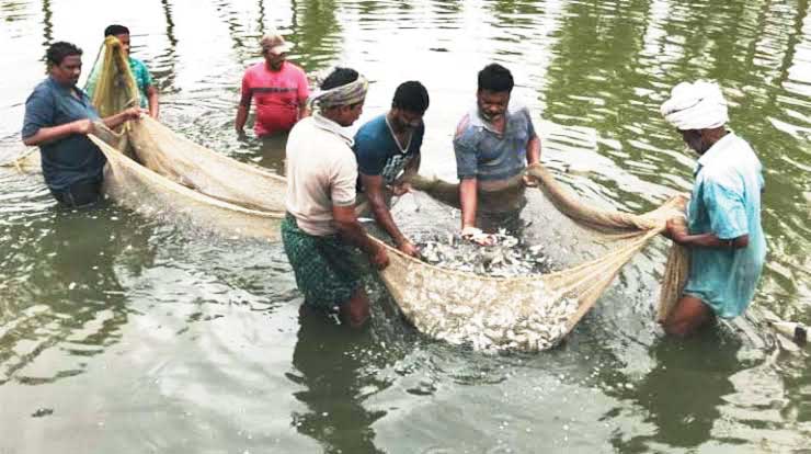 16 जून से 15 अगस्त तक मत्स्याखेट पर लगी रोक