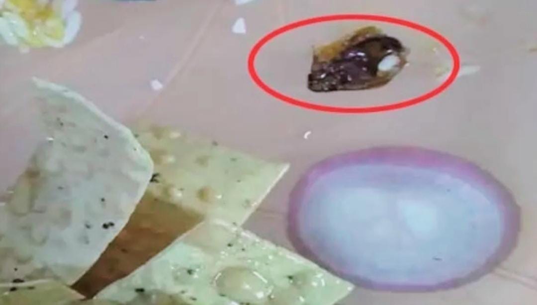 बीएसपी कैंटीन के खाने में निकला कॉकरोच, हंगामा बीएसपी कैंटीन के खाने में निकला कॉकरोच, हंगामा