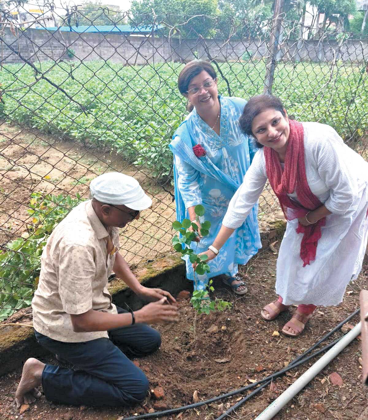 योग दिवस पर पौधारोपण योग दिवस पर पौधारोपण