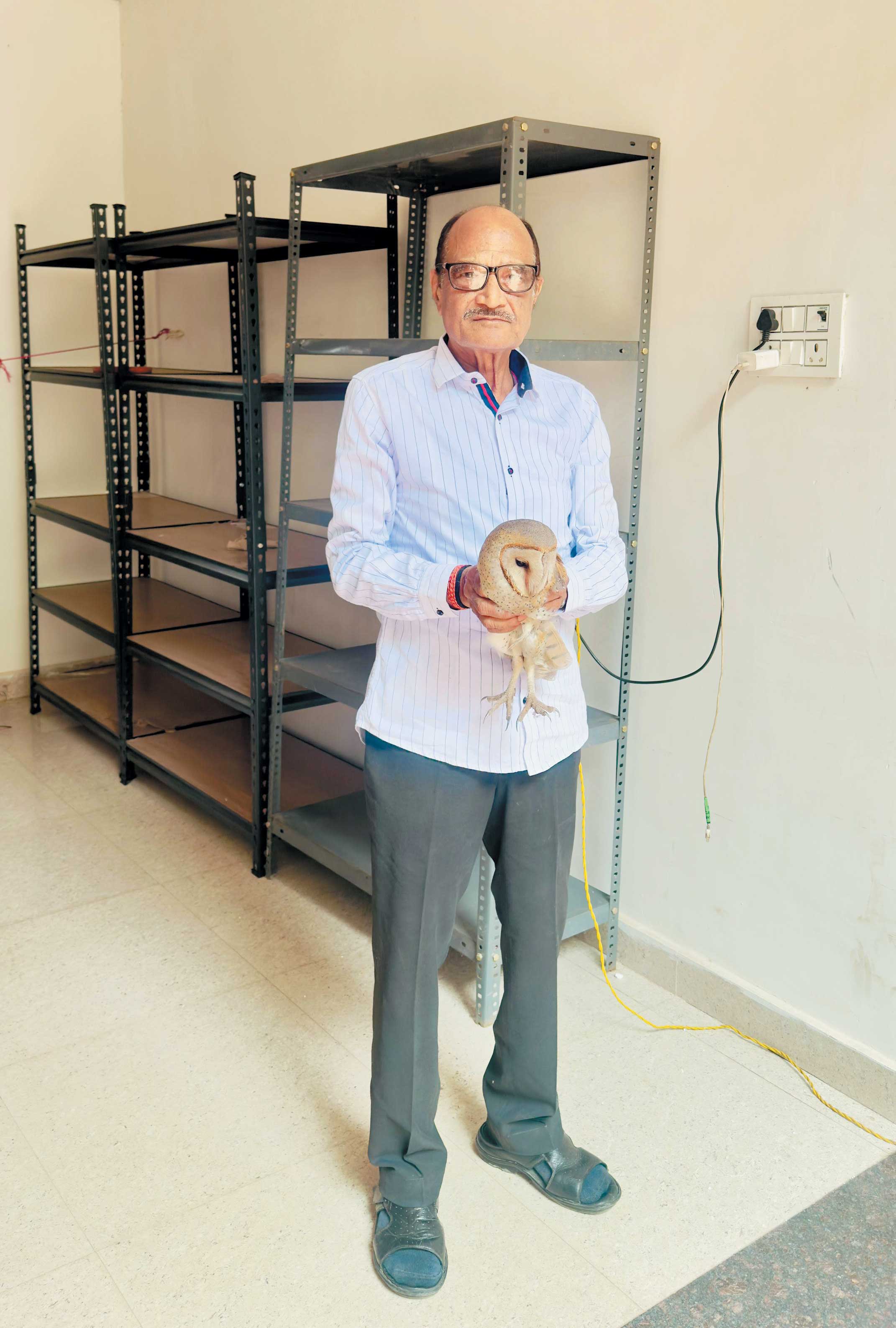 दुर्लभ प्रजाति का उल्लू मिला