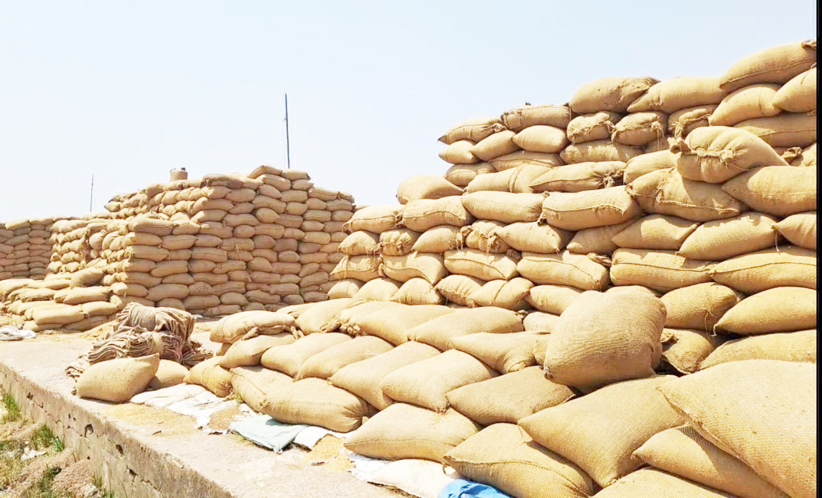 फड़ से अभी तक धान का उठाव नहीं,  प्रभारी परेशान