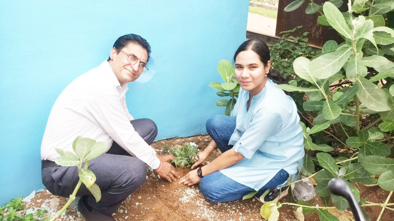 समाज सेवक संघ ने कियावृक्षारोपण