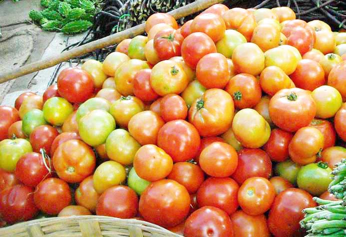 बारिश में घटी आवक, टमाटर-आलू और प्याज की कीमतों ने पकड़ी रफ्तार
