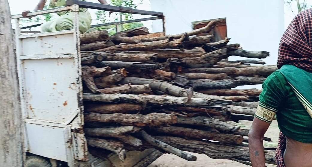 बिना नाप-तौल जब्त लकड़ी की बिक्री