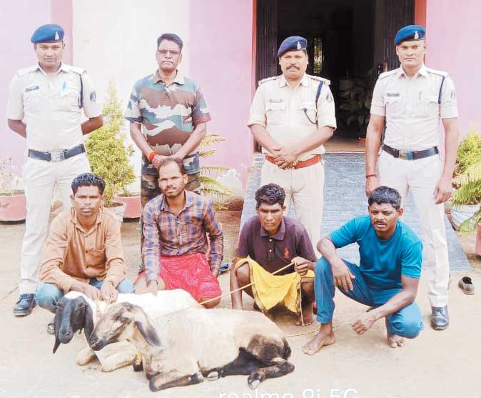 भेड़ चोरी, 4 आरोपी बंदी भेड़ चोरी, 4 आरोपी बंदी