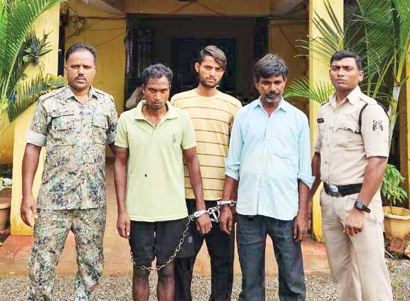 गांजा तस्कर और 2 सप्लायर गिरफ्तार गांजा तस्कर और 2 सप्लायर गिरफ्तार