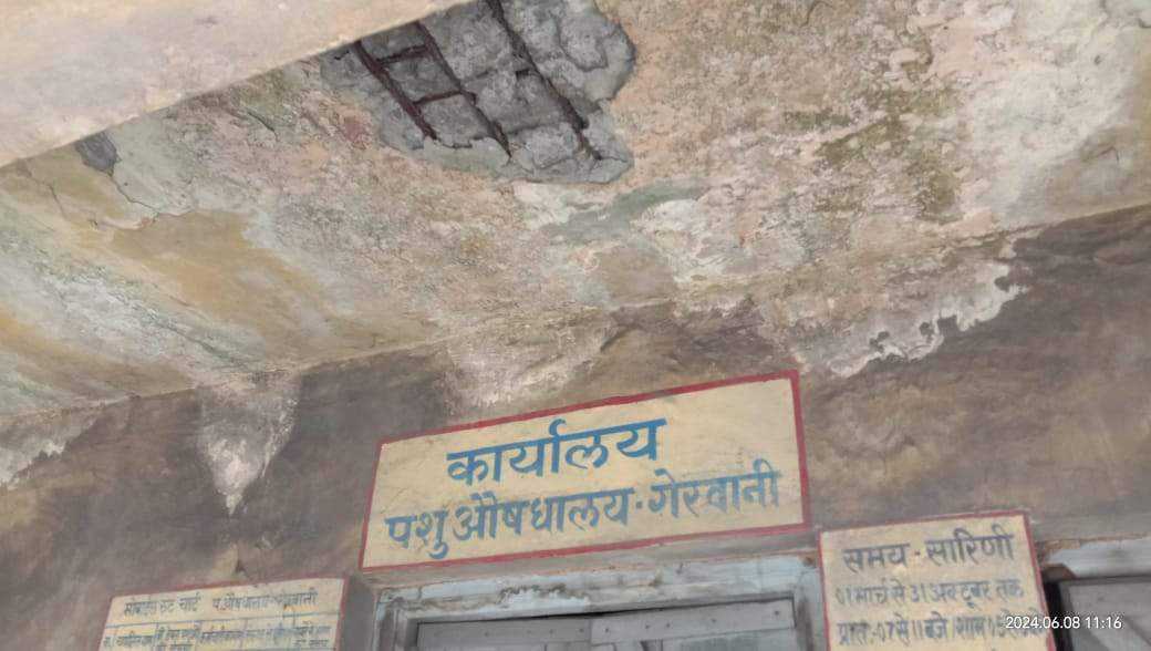 खंडहर में तब्दील होता पशु-औषधालय खंडहर में तब्दील होता पशु-औषधालय