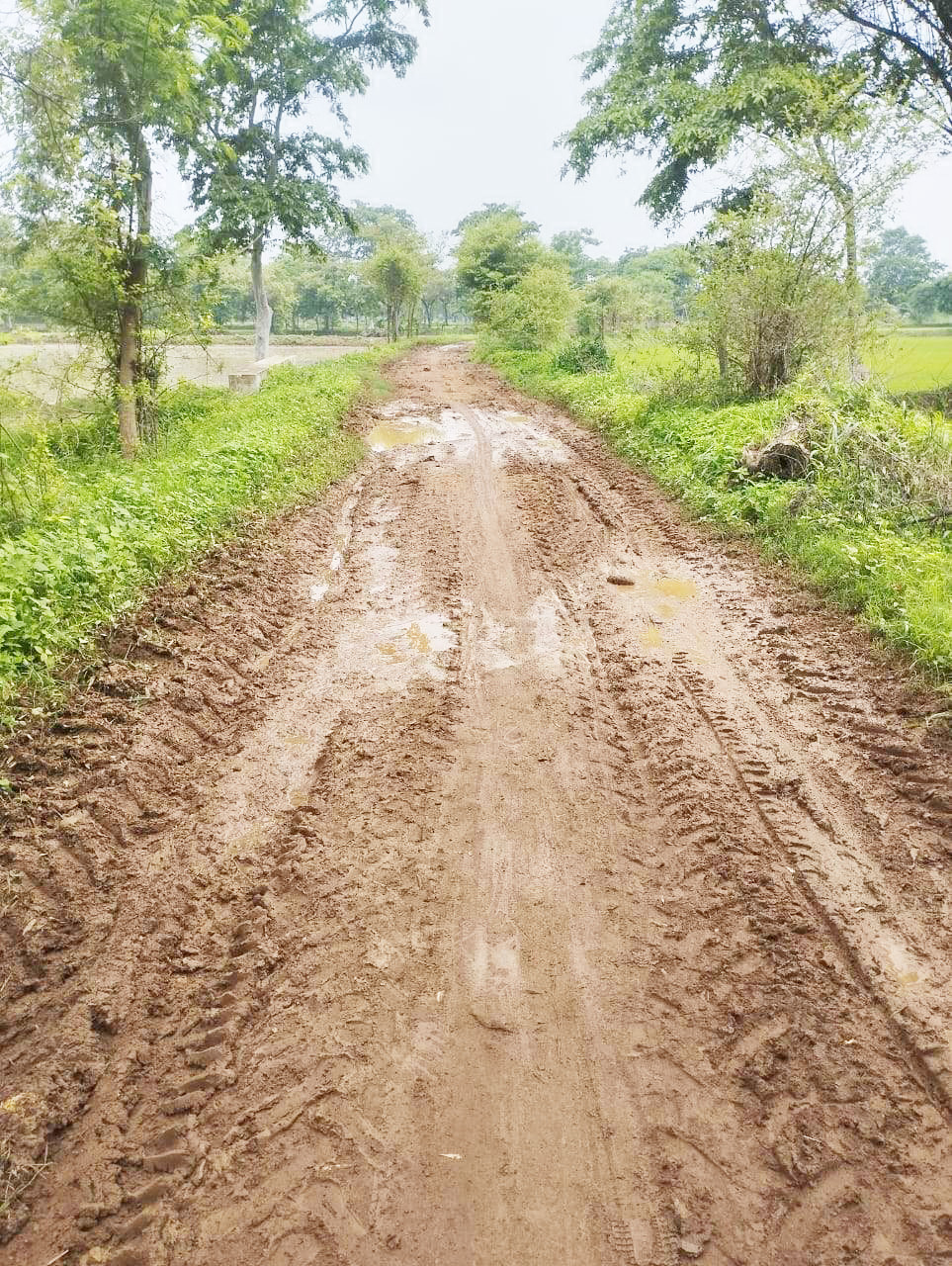 एक ऐसा गांव जहां अब तक नहीं मिली है मुख्य मार्ग की कोई सडक़