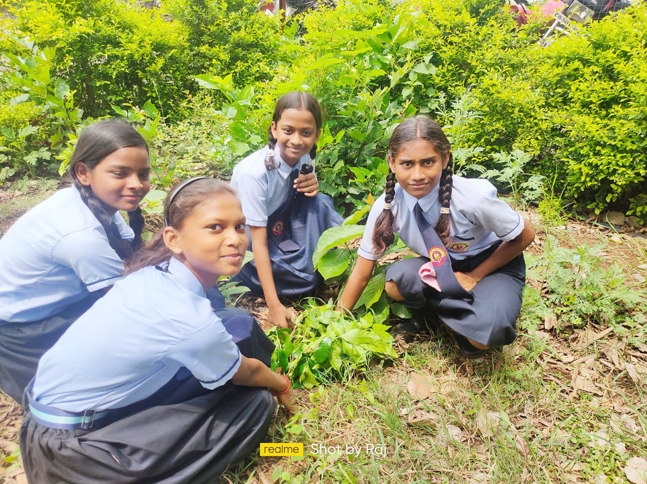 सेजेस में हर्षोल्लास के साथ मना वन महोत्सव