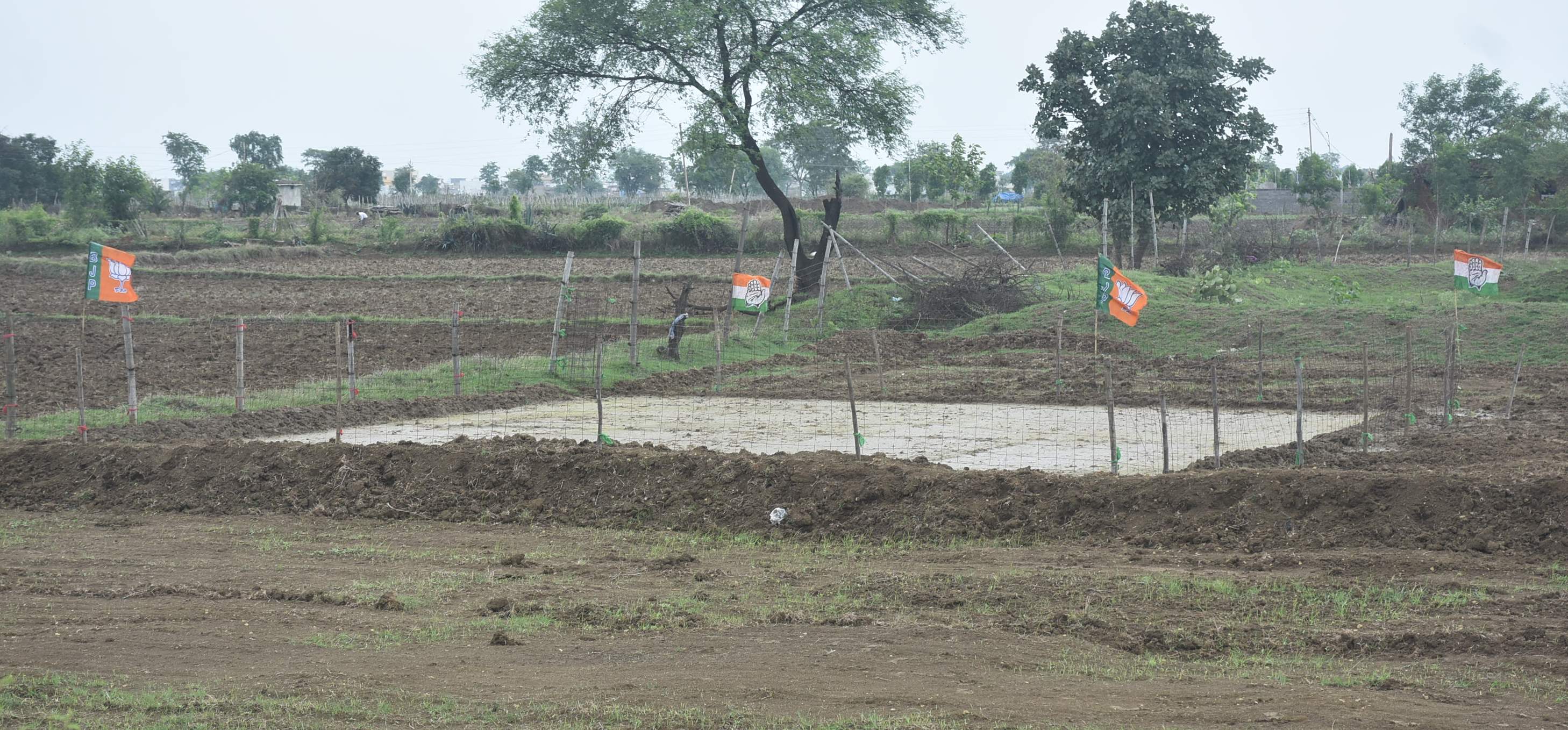 फसल किसकी