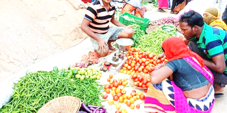 हरी सब्जियों के दाम ने बिगाड़ा रसोई का बजट हरी सब्जियों के दाम ने बिगाड़ा रसोई का बजट