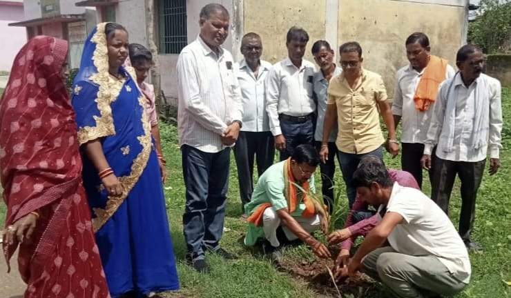 पूर्व सांसद यादव ने किया गठुला में पौधरोपण पूर्व सांसद यादव ने किया गठुला में पौधरोपण