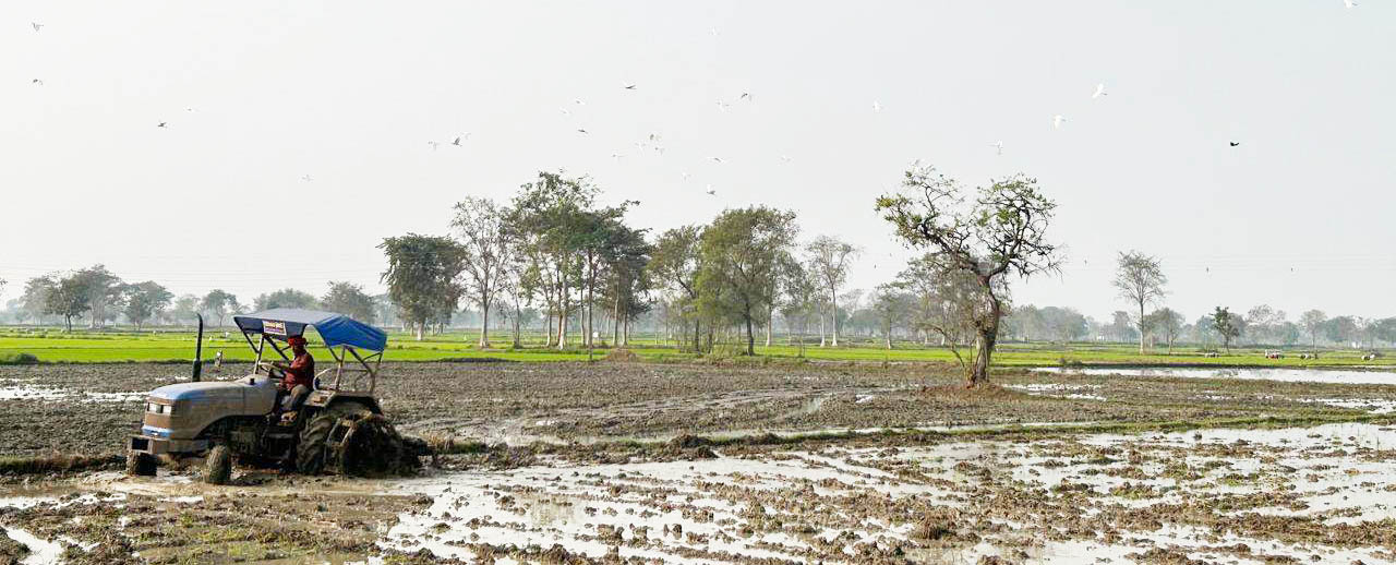 अल्प और खंड वर्षा से किसानों को सम-सामयिक सलाह, 288.6 मिमी तक बारिश अल्प और खंड वर्षा से किसानों को सम-सामयिक सलाह, 288.6 मिमी तक बारिश