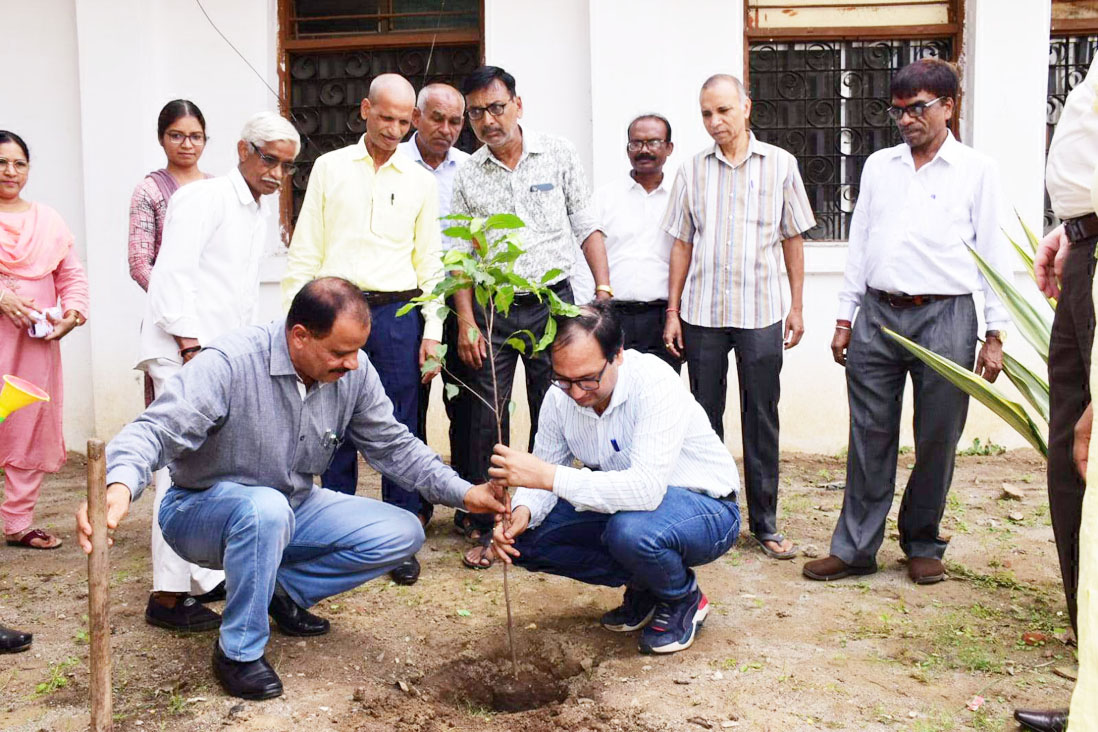 कलेक्टोरेट परिसर में पौधरोपण कलेक्टोरेट परिसर में पौधरोपण