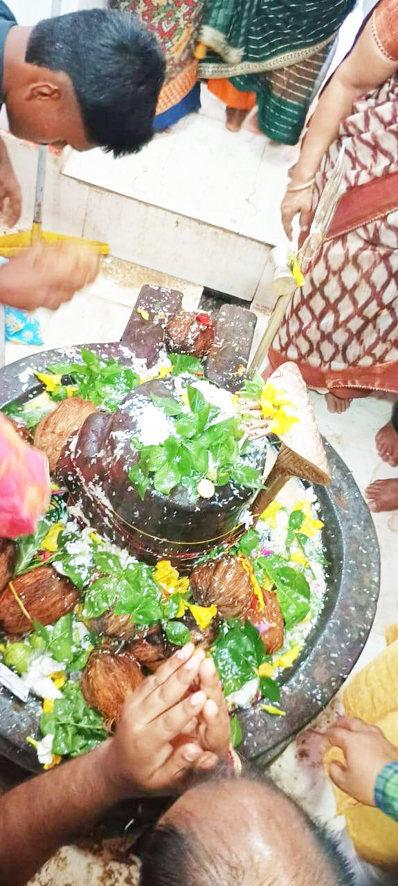 शिवालयों में उमड़े भक्त,  कतार लगाकर जलाभिषेक