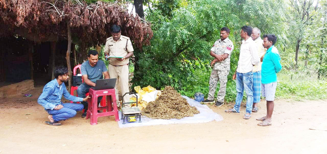 5 लाख का गांजा जब्त, आरोपी गिरफ्तार