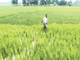 सावन की झड़ी, पर बलौदाबाजार में अभी भी औसत से 16 फीसदी कम बारिश