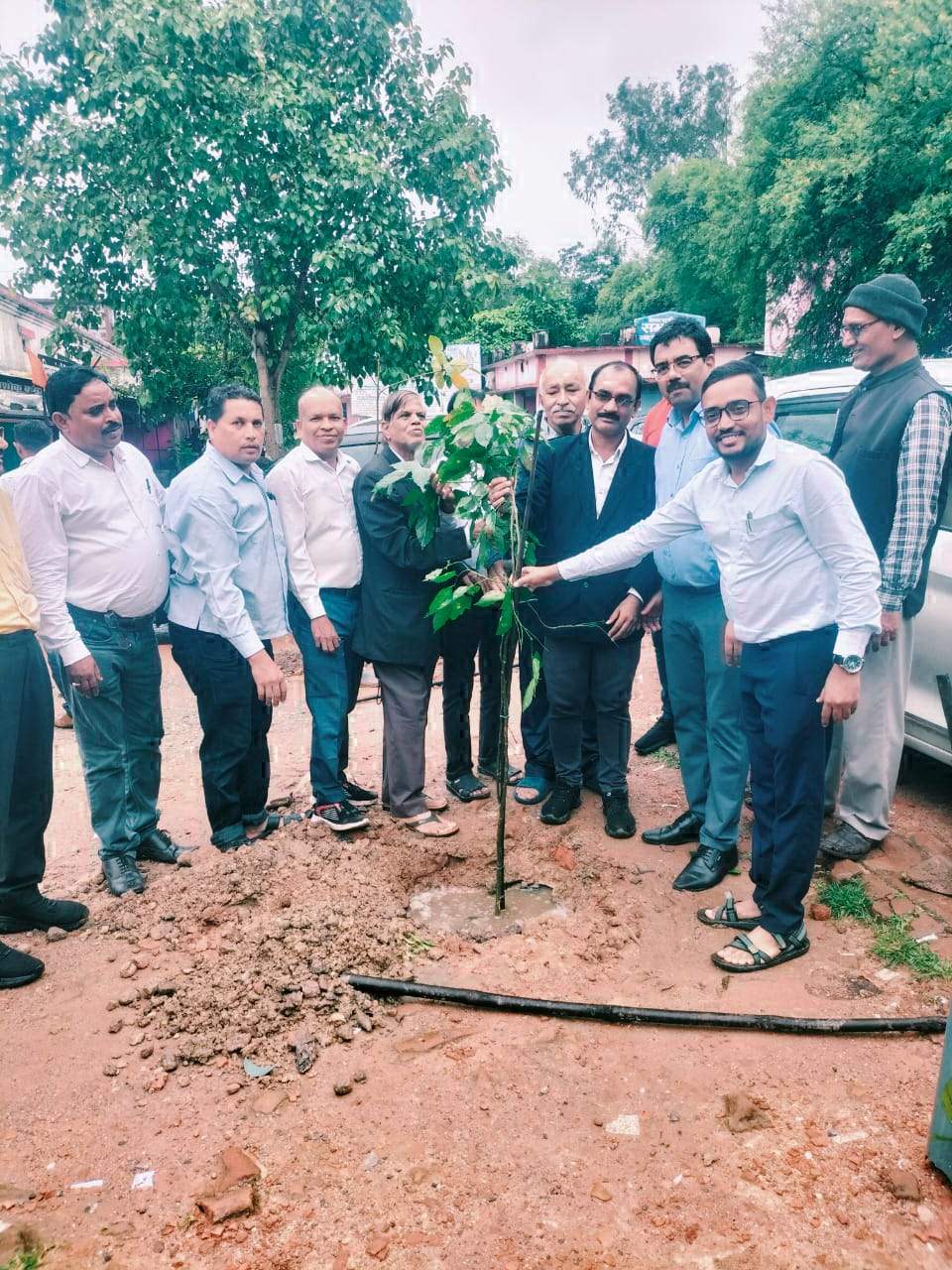 तहसील परिसर में वृक्षारोपण तहसील परिसर में वृक्षारोपण