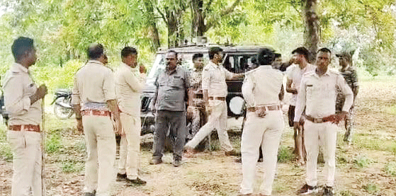 हाउसिंग बोर्ड कॉलोनी में पौधारोपण