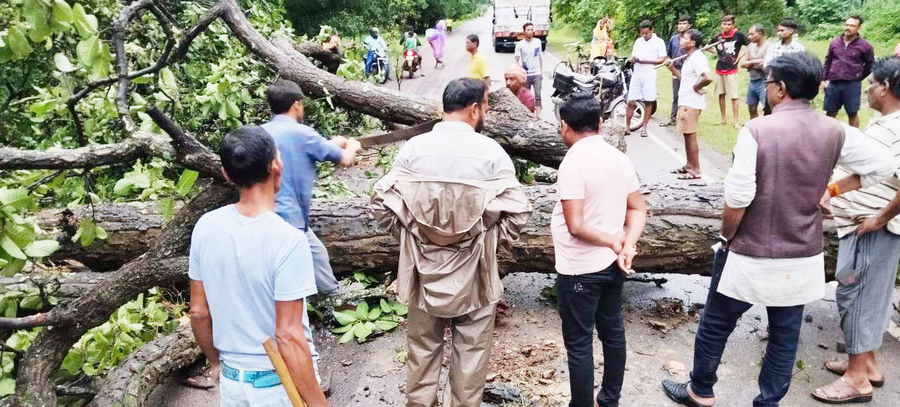 पेड़ गिरा, 3 घंटे जाम रही सडक़, 2 किमी तक गाडिय़ों की कतार पेड़ गिरा, 3 घंटे जाम रही सडक़, 2 किमी तक गाडिय़ों की कतार