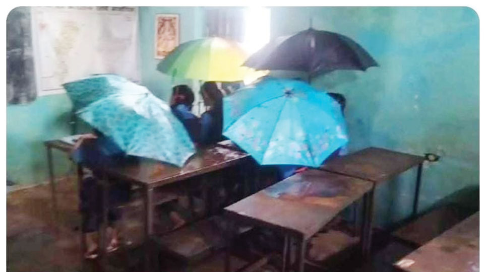 छत्ता पकड़ाकर पढ़ाई करने बच्चों की वीडियो बनाई गई-जांच रिपोर्ट छत्ता पकड़ाकर पढ़ाई करने बच्चों की वीडियो बनाई गई-जांच रिपोर्ट