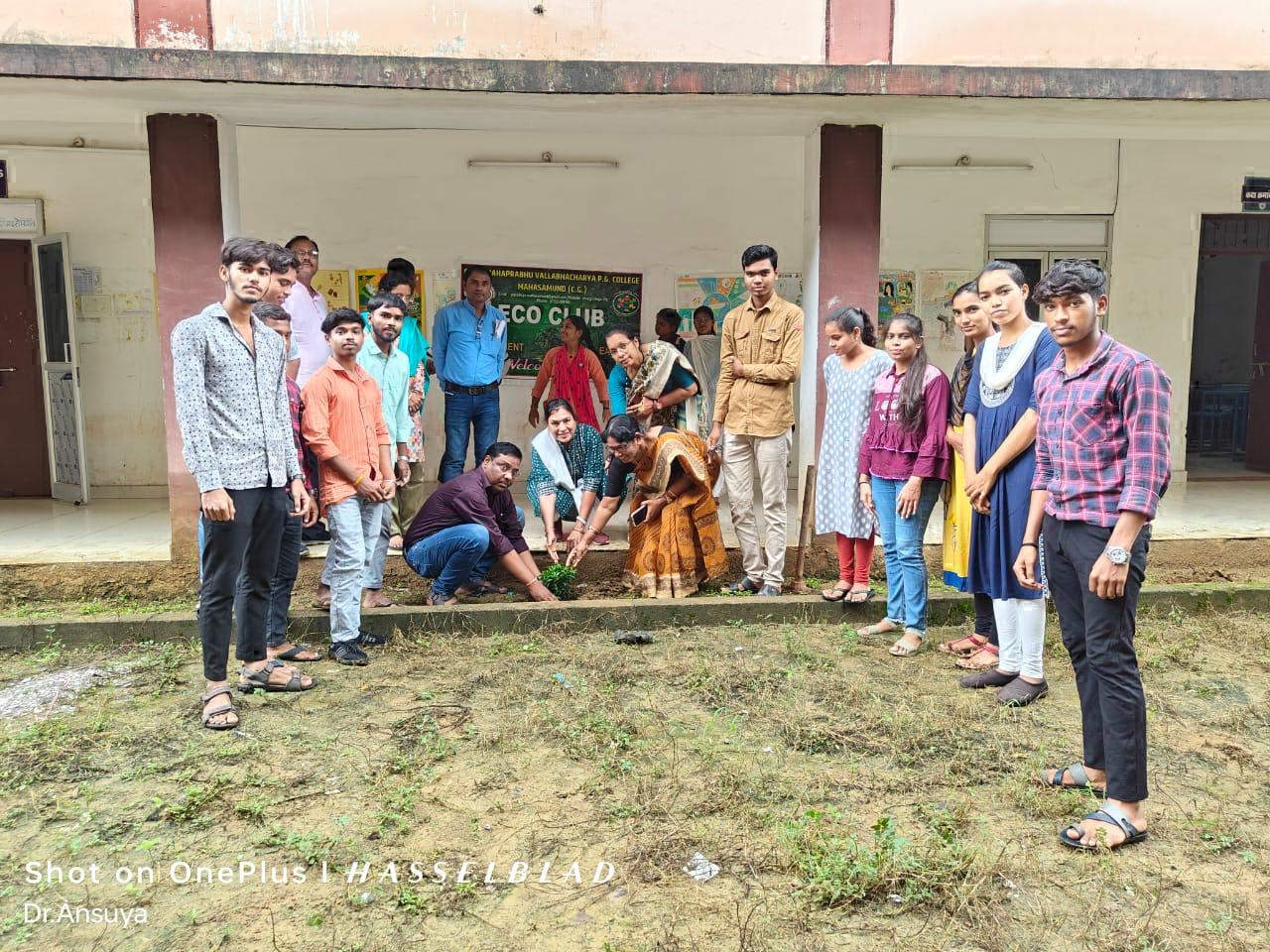 पौधारोपण कर संरक्षित करना हम सबकी जिम्मेदारी -डॉ. अनुसुइया पौधारोपण कर संरक्षित करना हम सबकी जिम्मेदारी -डॉ. अनुसुइया