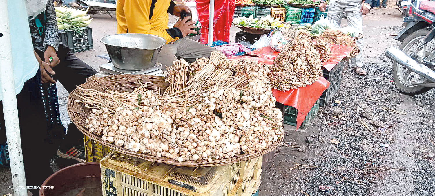 800 से 1000 रू. किलो फुटू, आवक बढ़ी 800 से 1000 रू. किलो फुटू, आवक बढ़ी