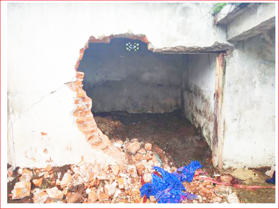 भूख-प्यास व घुटन से तड़पकर मवेशियों की मौत