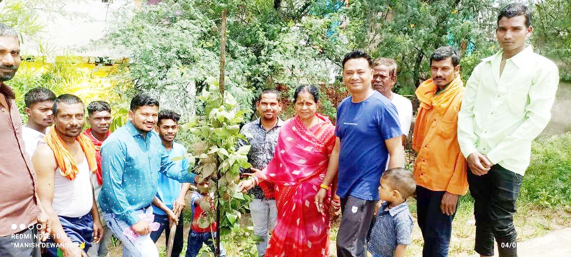 हरेली पर पौधरोपण