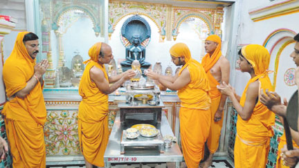 हरियाली अमावस्या पर शांति धारा हरियाली अमावस्या पर शांति धारा